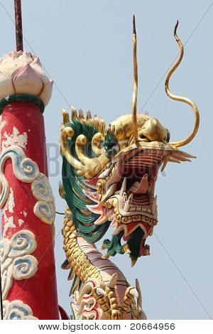Drago in Thailandia