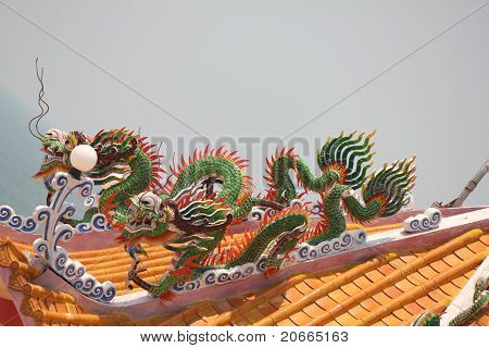 Drago in Thailandia
