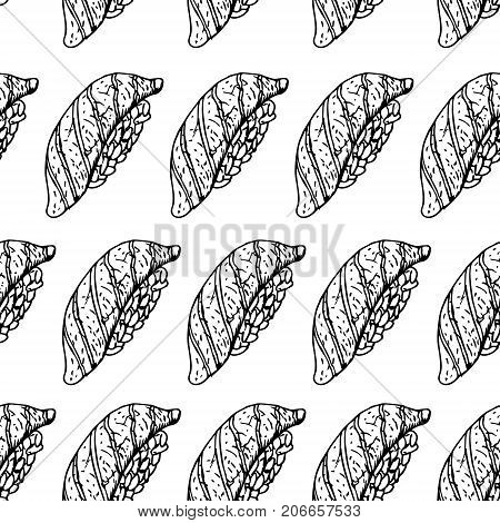 Hand drawn background with sushi. Vector seamless pattern. Vintage style. Linear graphic design. Black and white Japanese rolls. Vector illustration.