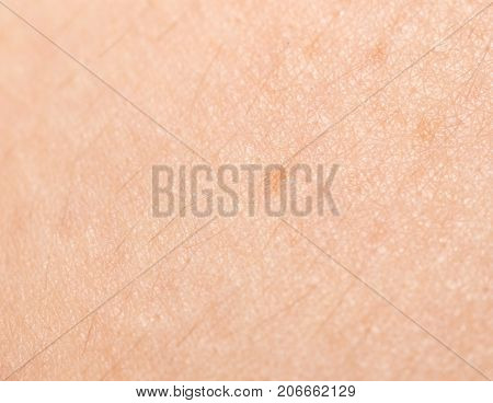 background of human skin . Photo of abstract background