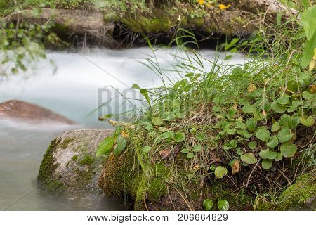 water in the mountain river . In the park in nature