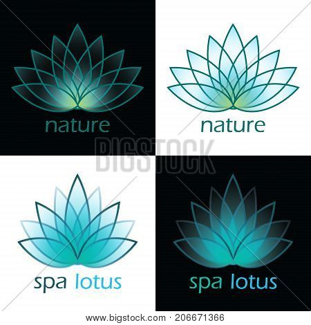 Nature spa lotus on black and white