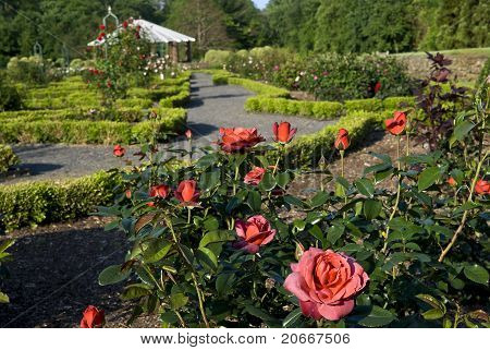 Bellezza estate