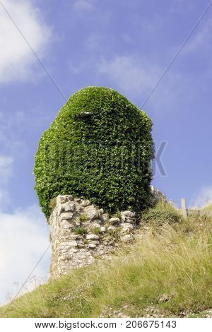 Remains of Corfe Castle / Wareham / United Kingdom