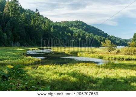 Shallow Water In Goldstream Provincial Park With Mountains On Background And Cloudy Sky.