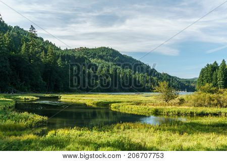 Shallow Water In Goldstream Provincial Park With Mountains On Background And Cloudy Sky.