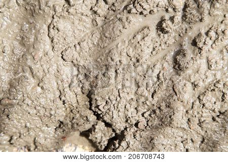 Background of the fresh cement solution . In the park in nature