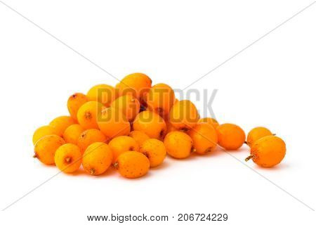 A Bunch Of Sea-buckthorn On A White