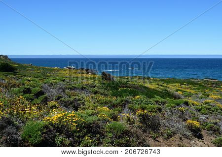 Beautiful Landscapes Along The California State Route One, California, Usa