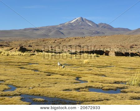 Köy Barrancos, Altiplano, Bolivya