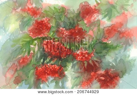 branches with red rowen berries and leaves watercolor background