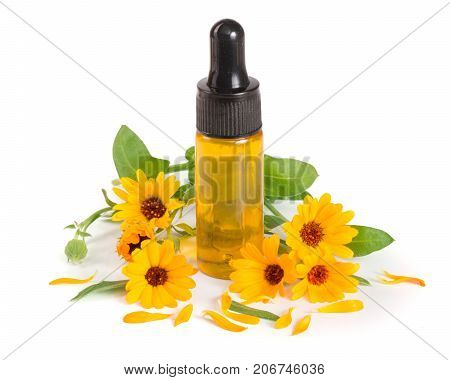 aromatherapy essential oil with marigold flowers isolated white background.