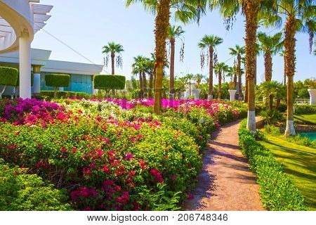 Sharm El Sheikh, Egypt - September 26, 2017: The main entrance and flowers at Monter Carlo Sharm Resort and SPA at Sharm El Sheikh, Egypt on September 26, 2017