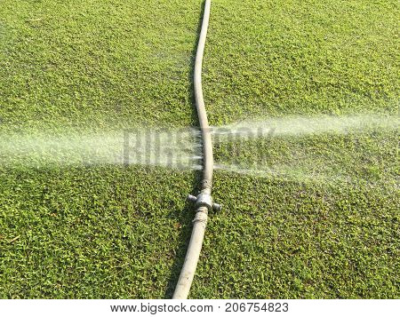wasting water - water leaking from hole in a hose