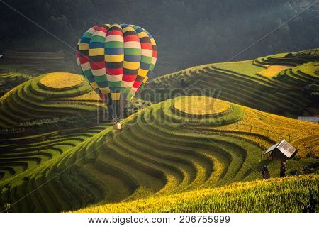 Hot air balloon over rice field in Mu cang chai Vietnam