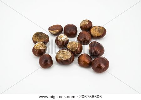 chestnuts isolated on white background autumn dekoration