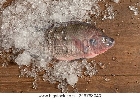 Fresh Nile Tilapia Mango Fish Nilotica Fish On Ice And Wooden Background
