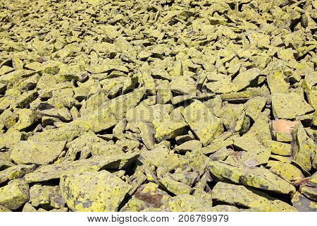 On the Gorgan Mountains a background of green stones the Carpathians