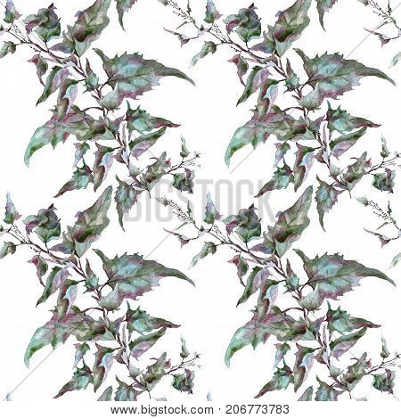 Hand drawing watercolor green sagebrush tarragon leaves ornament