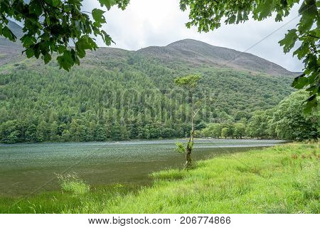 A landscape view of Buttermere one of the lakes in the Lake District Cumbria United Kingdom.