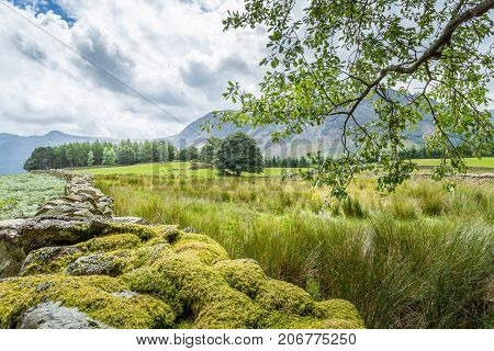 A landscape view of the area around Crummock Water one of the lakes in the Lake District Cumbria United Kingdom.