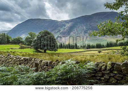 A landscape view of the area around Crummock Water one of the lakes in the Lake District Cumbria United Kingdom.