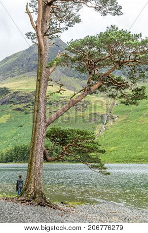 A landscape view of Buttermere one of the lakes in the Lake District Cumbria United Kingdom.