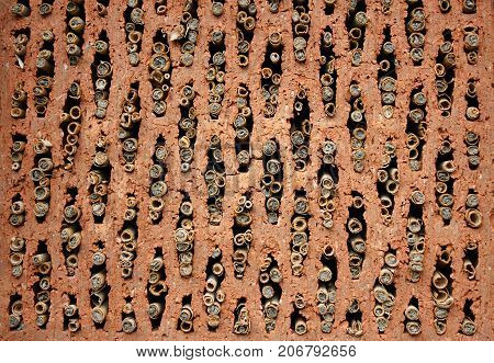 Shelter for insects made of red brick.