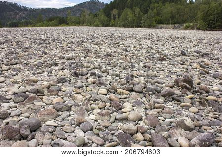 Low tide on the Katun River. Russia Siberia the Altai Mountains