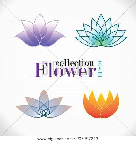 Flower logo collection. Set of color lotus