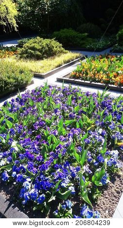 Floral flowerbed flowers area people airport passengers