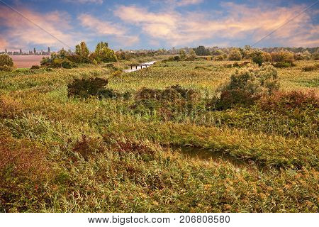 Po Delta Park, landscape at sunset in the wetland of Porto Tolle, Rovigo, Veneto, Italy