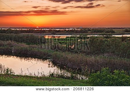 Porto Viro, Rovigo, Veneto, Italy: lagoon in the nature reserve Po Delta Park, landscape at sunset of the swamp