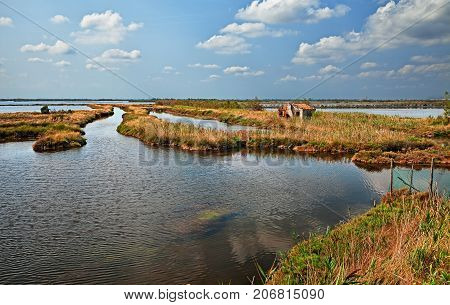 landscape of the Po Delta Park in Rosolina, Rovigo, Veneto, Italy. Picturesque view of the swamp in the nature reserve