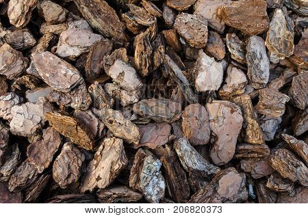 Texture Of Wood Bark Pieces