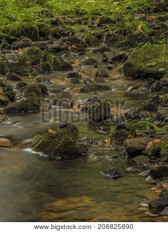 Usovicky creek near Marianske Lazne spa town in autumn day