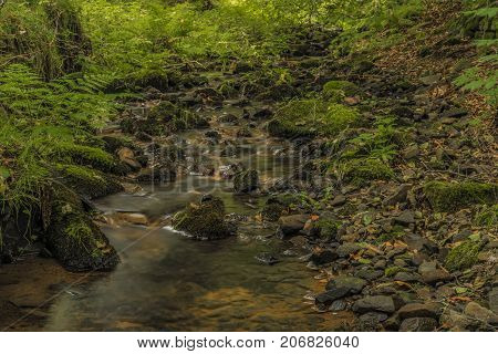 Usovicky creek near Marianske Lazne spa town in autumn day