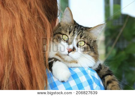 Woman holding fluffy cat. Adoption concept