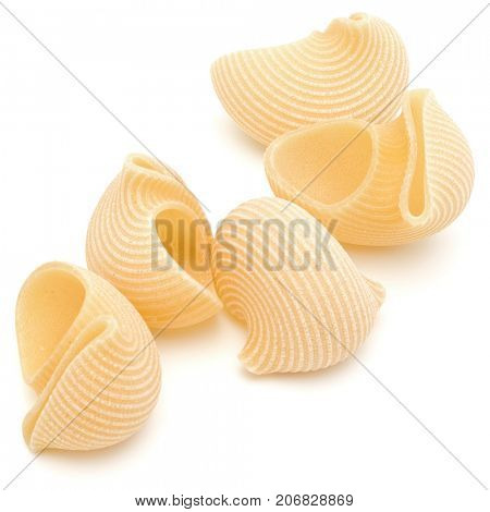 Italian lumaconi isolated on white background. Lumache, snailshell shaped pasta.