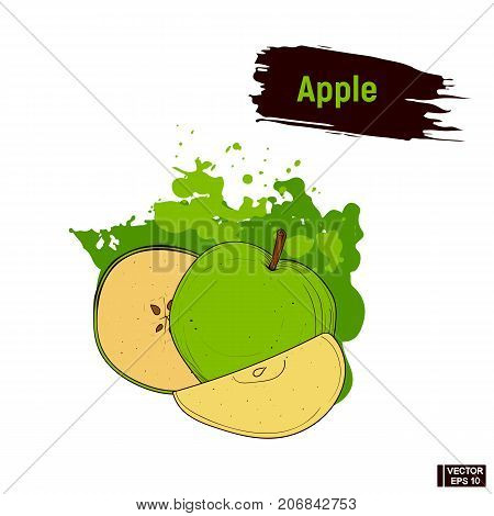 Colored Sketch Green Apple.