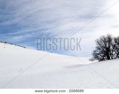 Snow Hill