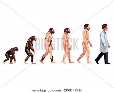 Evolution of a Doctor. Vector illustration color