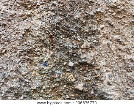 Texture Of Old Sedimentary Rock In Crimea