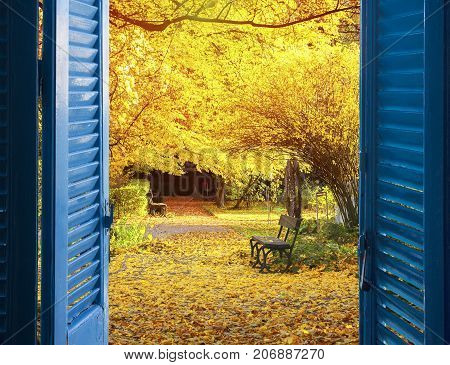 room with open blue window shutters to - fall garden with yellow tree leaves and bench