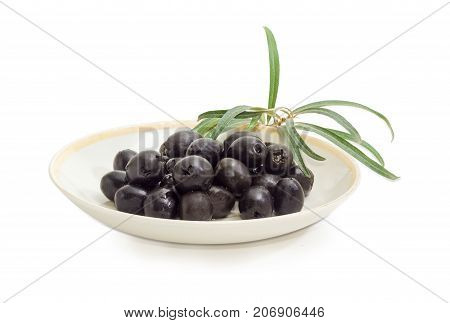 Canned black olives on a saucer and olive branch beside on a white background closeup