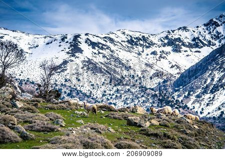 Amazing panorama of rough wild mountains, grass, cloudy blue sky, Lasithi, Crete