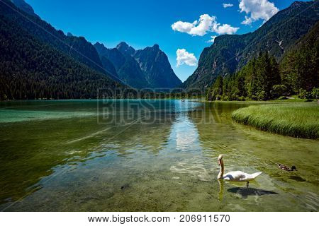 Lake Dobbiaco in the Dolomites, Beautiful Nature Italy natural landscape Alps.