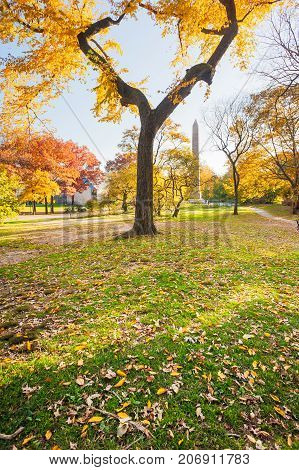 Autumn trees in Central Park with the Obelisk in the background, New York City, USA