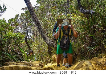 Ranau,Sabah-March13,2016:Mountain porter carrying a heavy backpack to Laban Rata of the majestic Mount Kinabalu in Ranau,Sabah Borneo,Malaysia.
