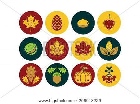 Autumn icons in modern line style. Vector illustration
